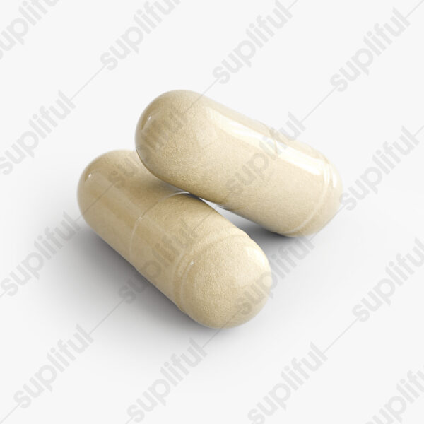 VibeBiotics™: Gut Health & Microbiome Support